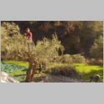 Es scheint viel die Sonne, doch es ist diesen Winter recht frisch Es scheint viel die Sonne, doch es ist diesen Winter recht frisch